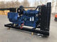 Blauer 200kw Dieselgenerator Leroy Somer Alternator Electric Generating Set