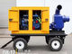Gemalte Enddiesel-Wasser-Pumpe stellte mobile Wasser-Pumpe mit 1500 U/min ein